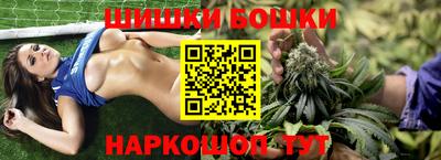 соль ск Шелехов