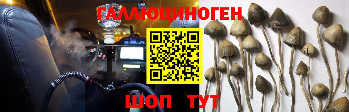 Псилоцибиновые грибы GOLDEN TEACHER Ржев