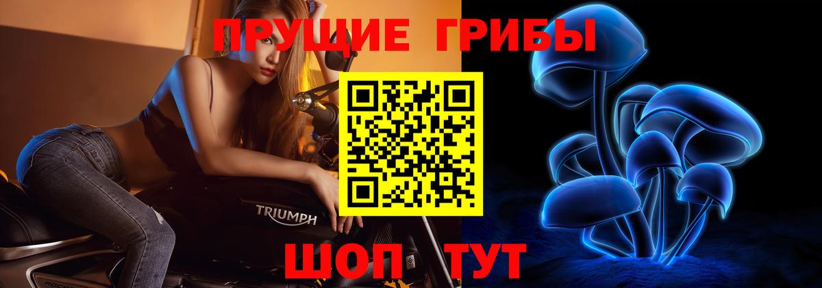 Псилоцибиновые грибы ЛСД  Псилоцибиновые грибы Psilocybine cubensis  Ржев  Вход с VPN 